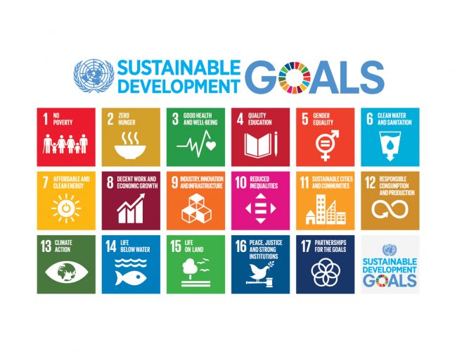 SDGs goal